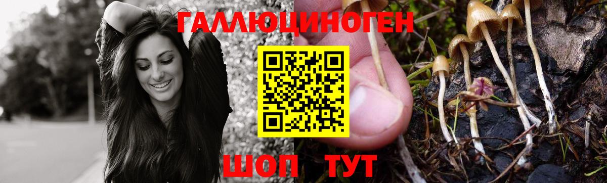 Электросталь  где купить   Вход с VPN  Галлюциногенные грибы Psilocybine cubensis 