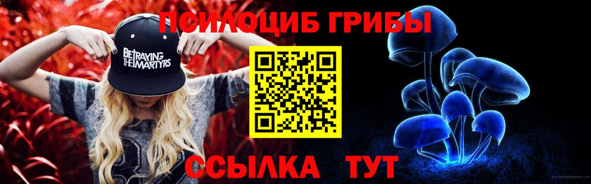 Псилоцибиновые грибы прущие грибы Электросталь